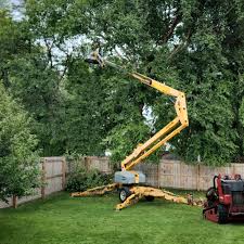 Best Grass Overseeding  in Murray, KY